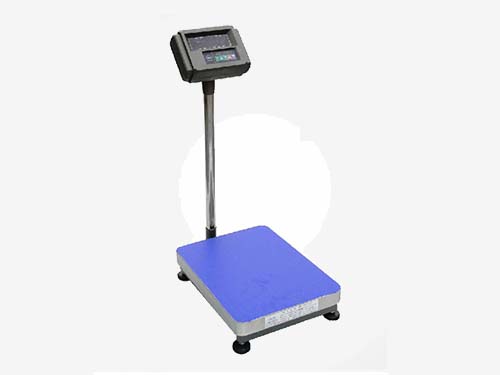 30-300公斤電子臺(tái)秤